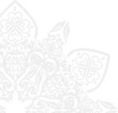 vector-bg